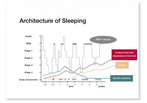Architecture of sleeping